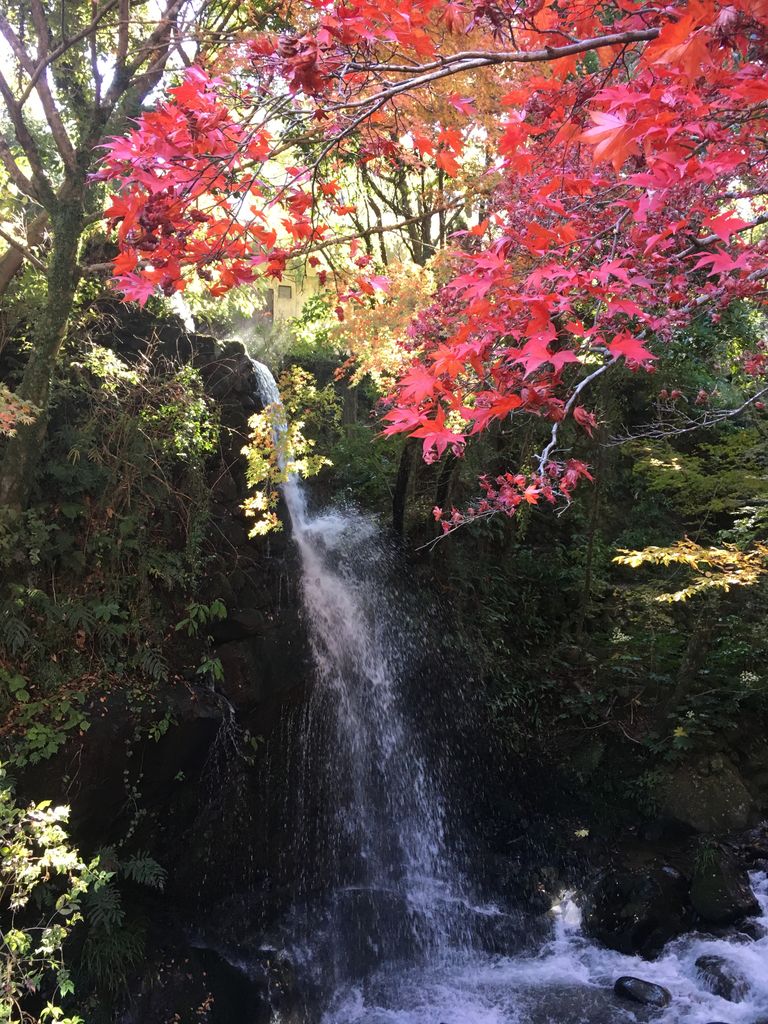 湯河原 万葉公園 紅葉 定年親父の気まぐれブログ