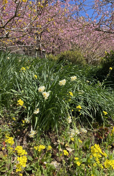 F597733E-1F57-46F2-AA07-55E4A8279391