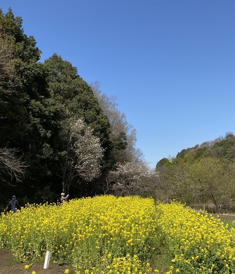 7ED6B871-5C62-435C-9248-6881F96D14F4