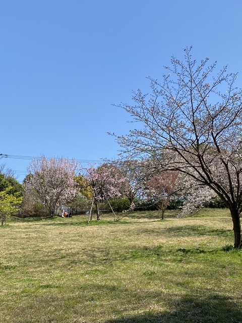 24788BA1-E4D9-4C88-99AB-E4A0A2039525