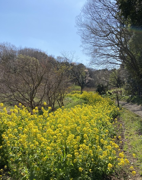 00E76217-7E3E-482C-B83B-BAAF545FE466