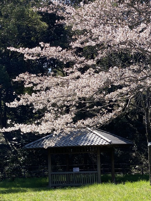 833AB3A7-3AF8-4014-8B7D-A0019CB3691E