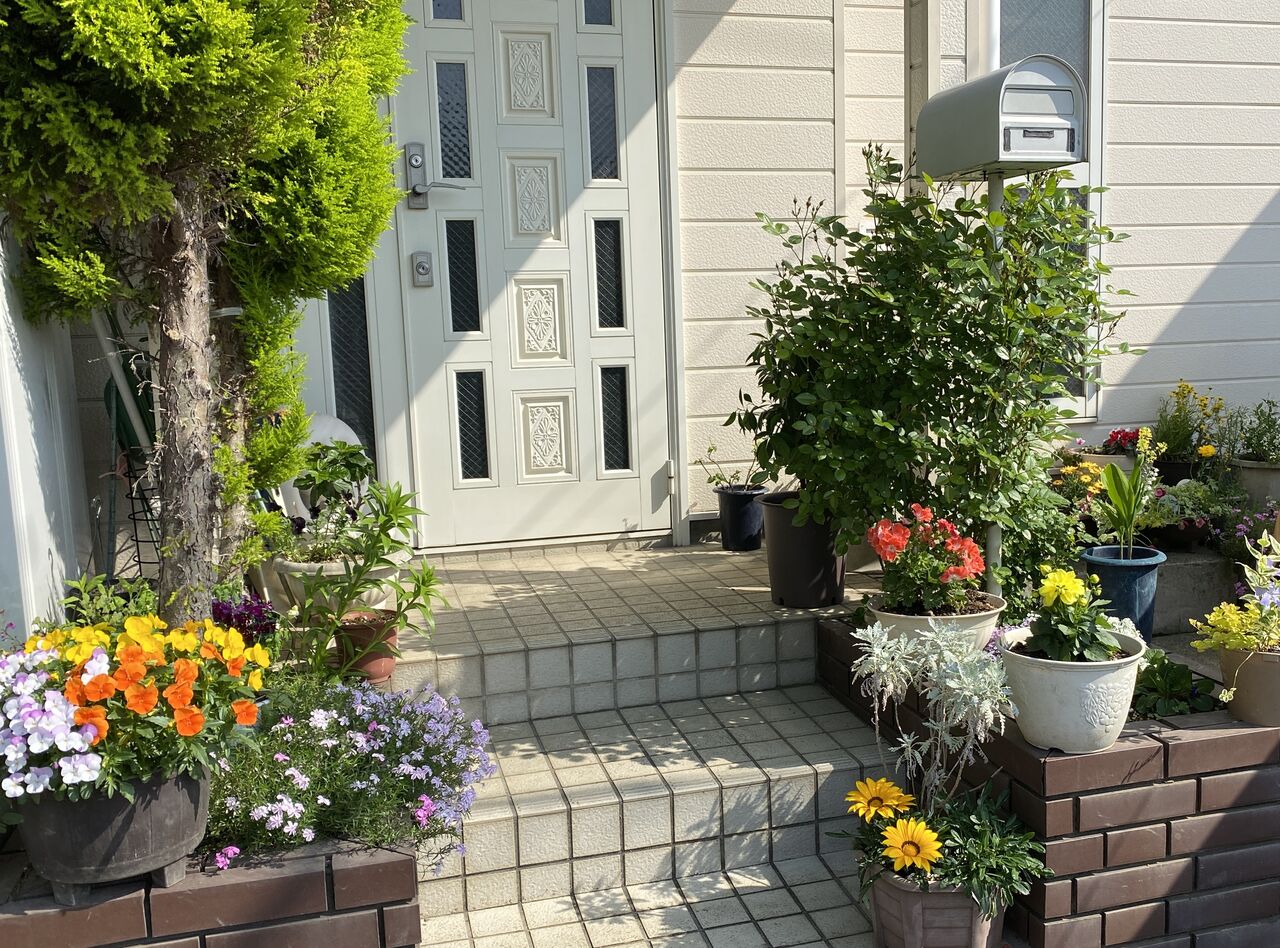 ささやかな庭いじり 玄関先の花達 定年親父の気まぐれブログ ささやかな庭いじり 玄関先の花達 定年親父の気まぐれブログ
