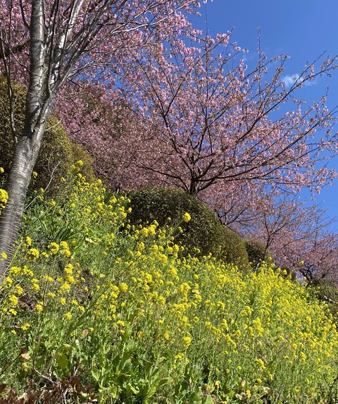 1372CC35-D1D3-4F89-94FA-547CCF408DB7