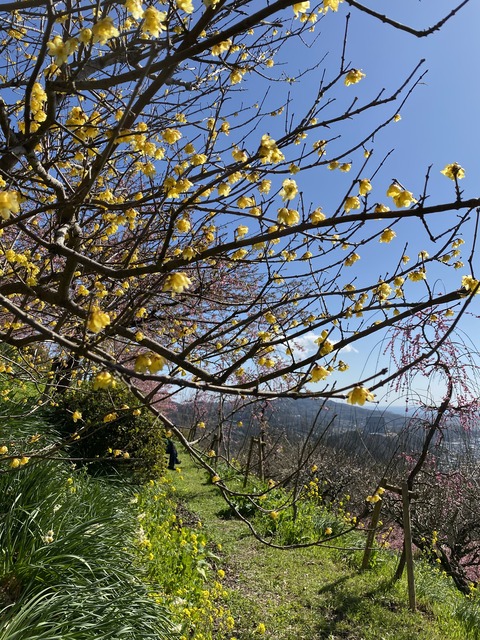 3D3124CA-F5C0-4535-AA4C-5A29DC907C66