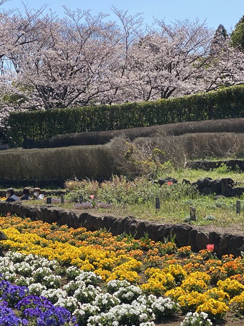 B9B53A1F-560F-453D-BB74-264EF8FC52D0