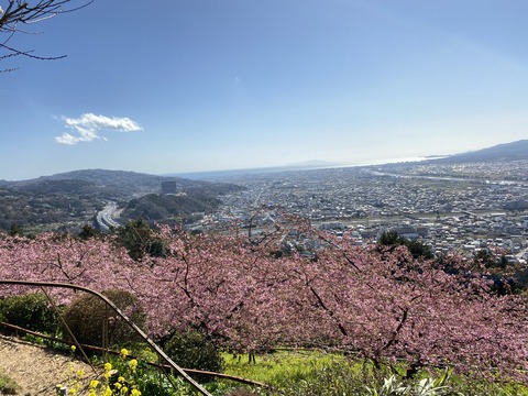 A71B520C-B821-4895-904E-CD71FF85DF70