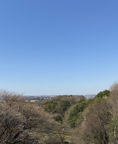 80AA4298-6868-40EC-B33C-2CB331A3A214