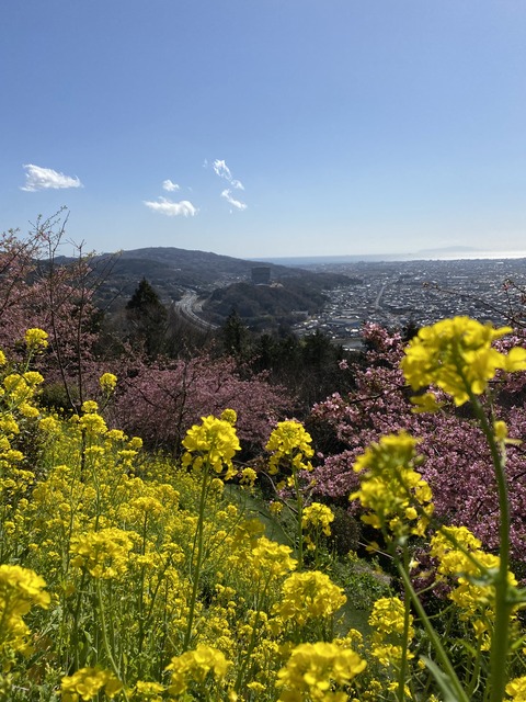 A4F8F6E5-505D-40B1-BFFE-BD05444D386E