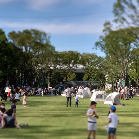 IMG_20200920_013435_659