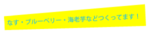 大阪・富田林・板持の農家「山真農園(やままさのうえん)」。金剛山で有名な富田林。ブランド「まーるいかんぱにー」も絶賛発売中！