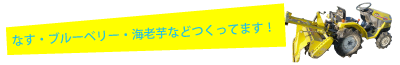 大阪・富田林・板持の農家「山真農園(やままさのうえん)」。金剛山で有名な富田林。ブランド「まーるいかんぱにー」も絶賛発売中！