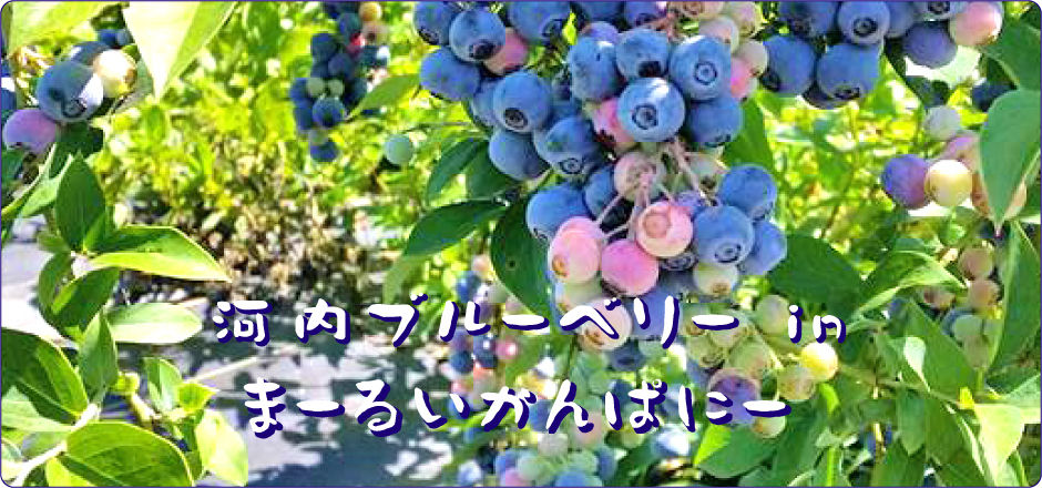 イメージ写真05