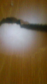 20090415191645.jpg