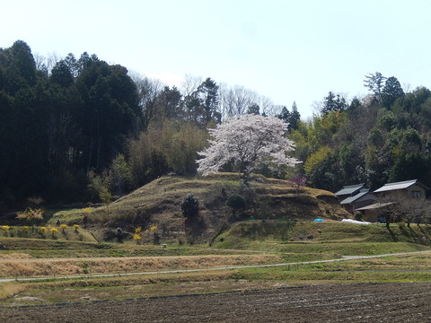 DSCN2143