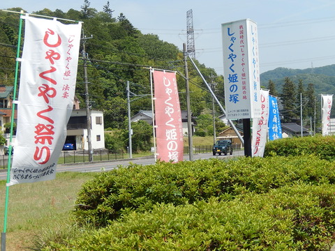 DSCN3780