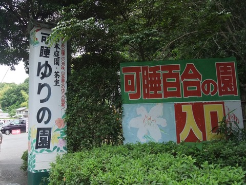 DSCF0027 (2)
