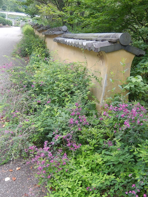 DSCN5015