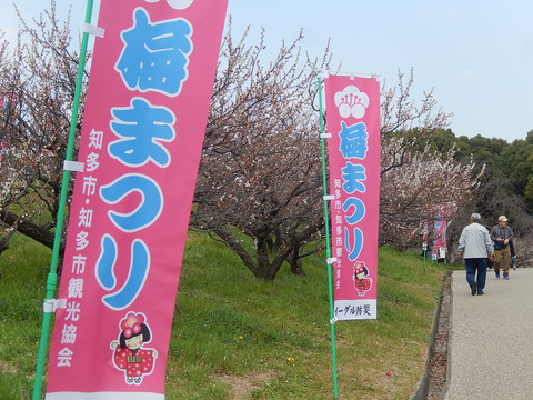 DSCN1752