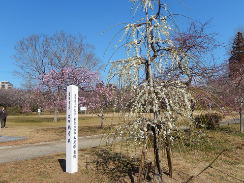 DSCN0850