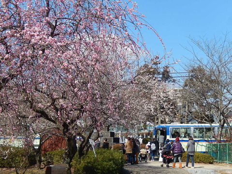 DSCN1693