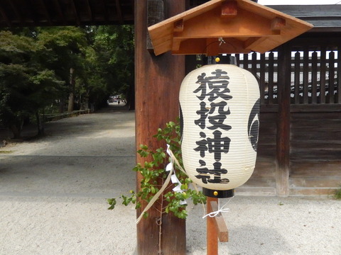 DSCN7613