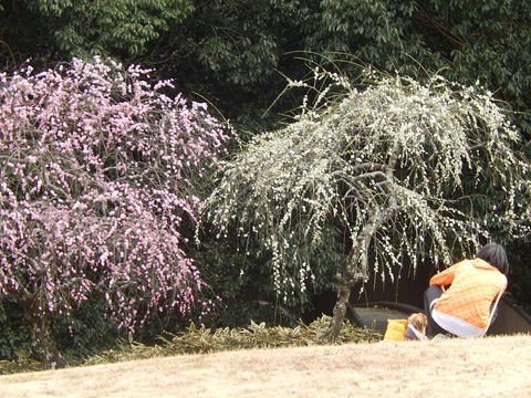DSCN1386