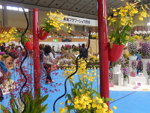 DSCN1664