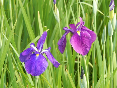 DSCN2851