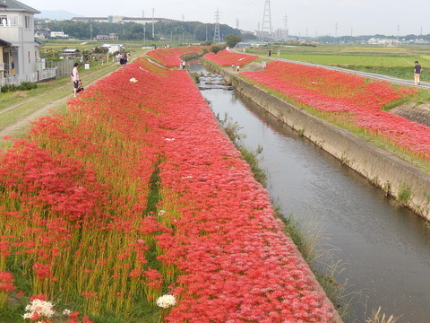 DSCN6324
