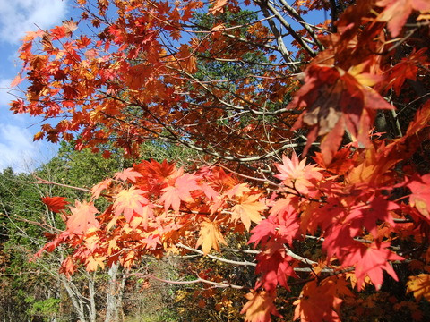 DSCF0052