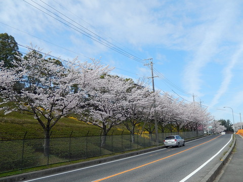 DSCN0310
