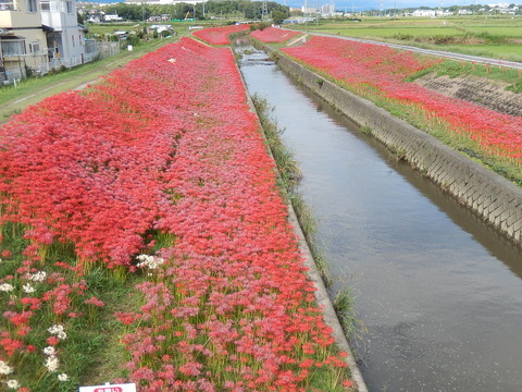 DSCN8645