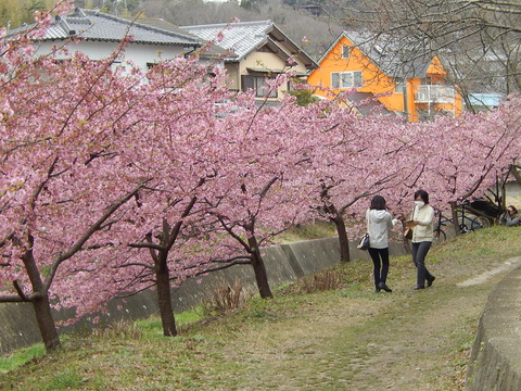 DSCN2337