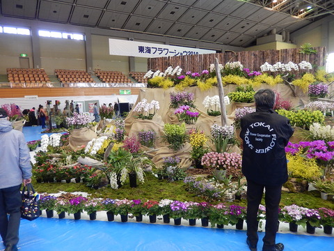 DSCN1615