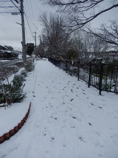 DSCN0212