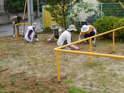 DSCN3469