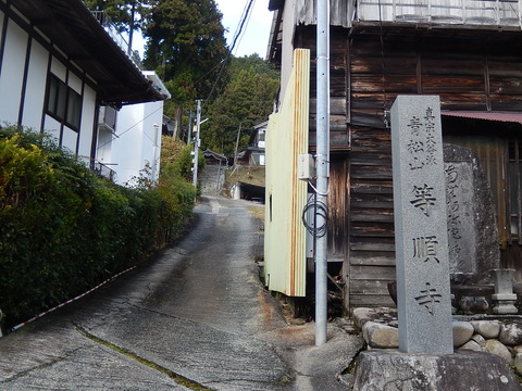 DSCN8139