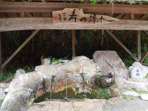 DSCN7969