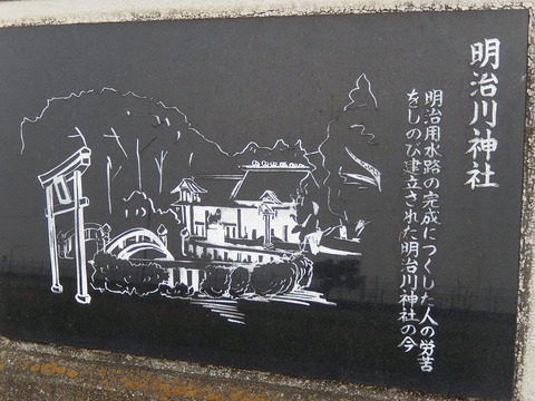 DSCN9056