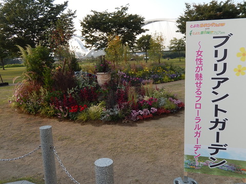 DSCN6888