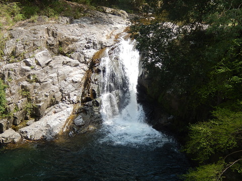 DSCN2363