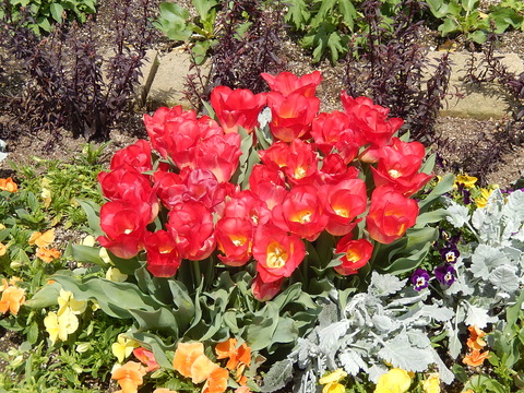 DSCN8372