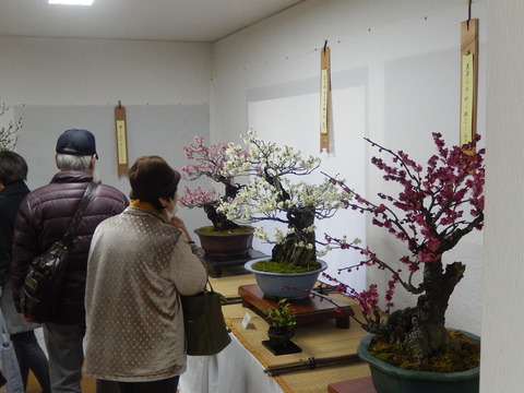 DSCN0875