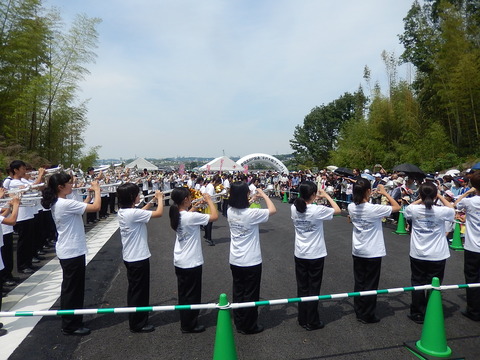 DSCN3739