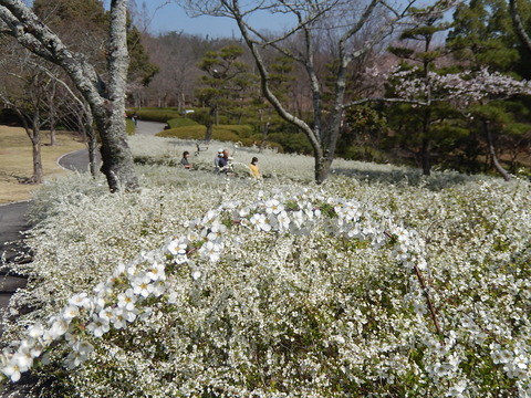 DSCN9869