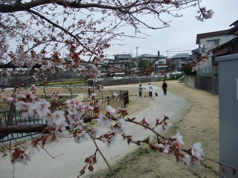 DSCF0015