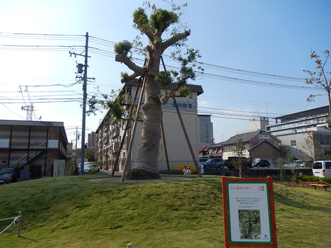 DSCN6978