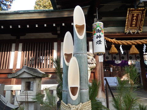 DSCN0828