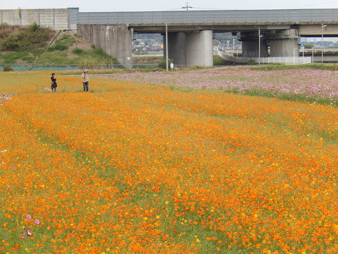DSCN7156